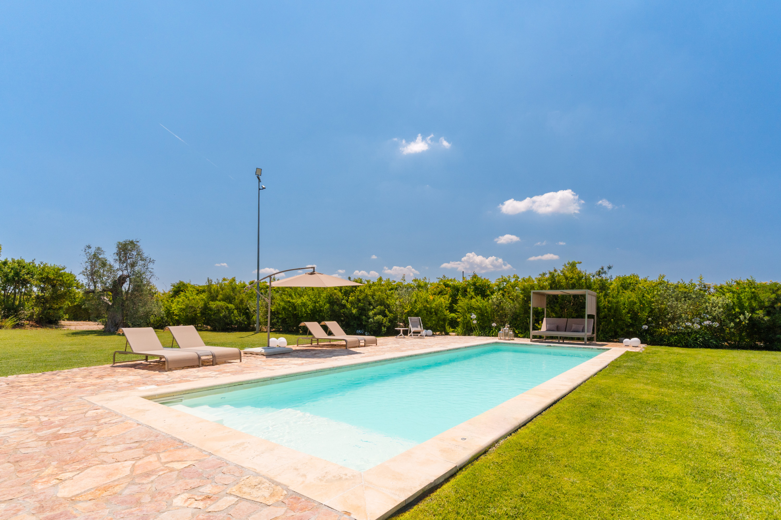 piscina prato giardino attico villa cucci