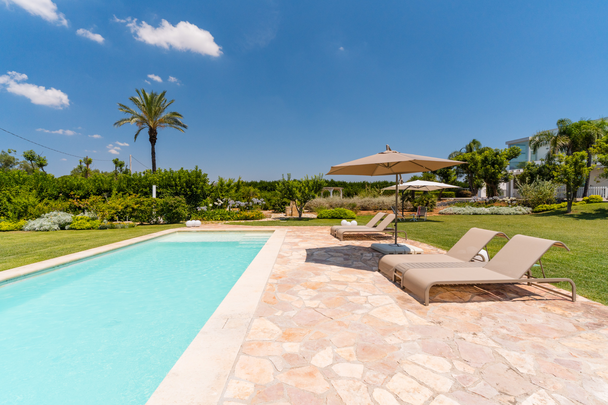 piscina giardino lettini attico villa cucci