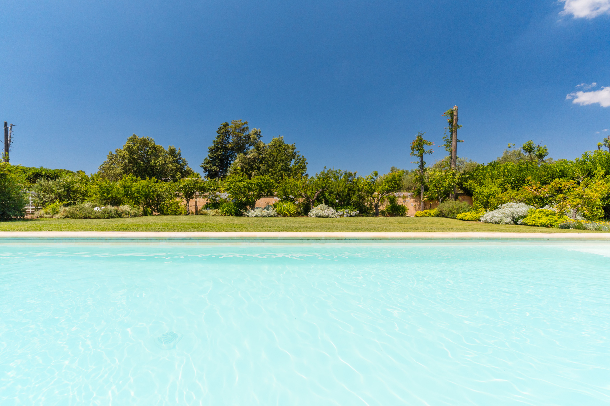 piscina giardino attico villa cucci