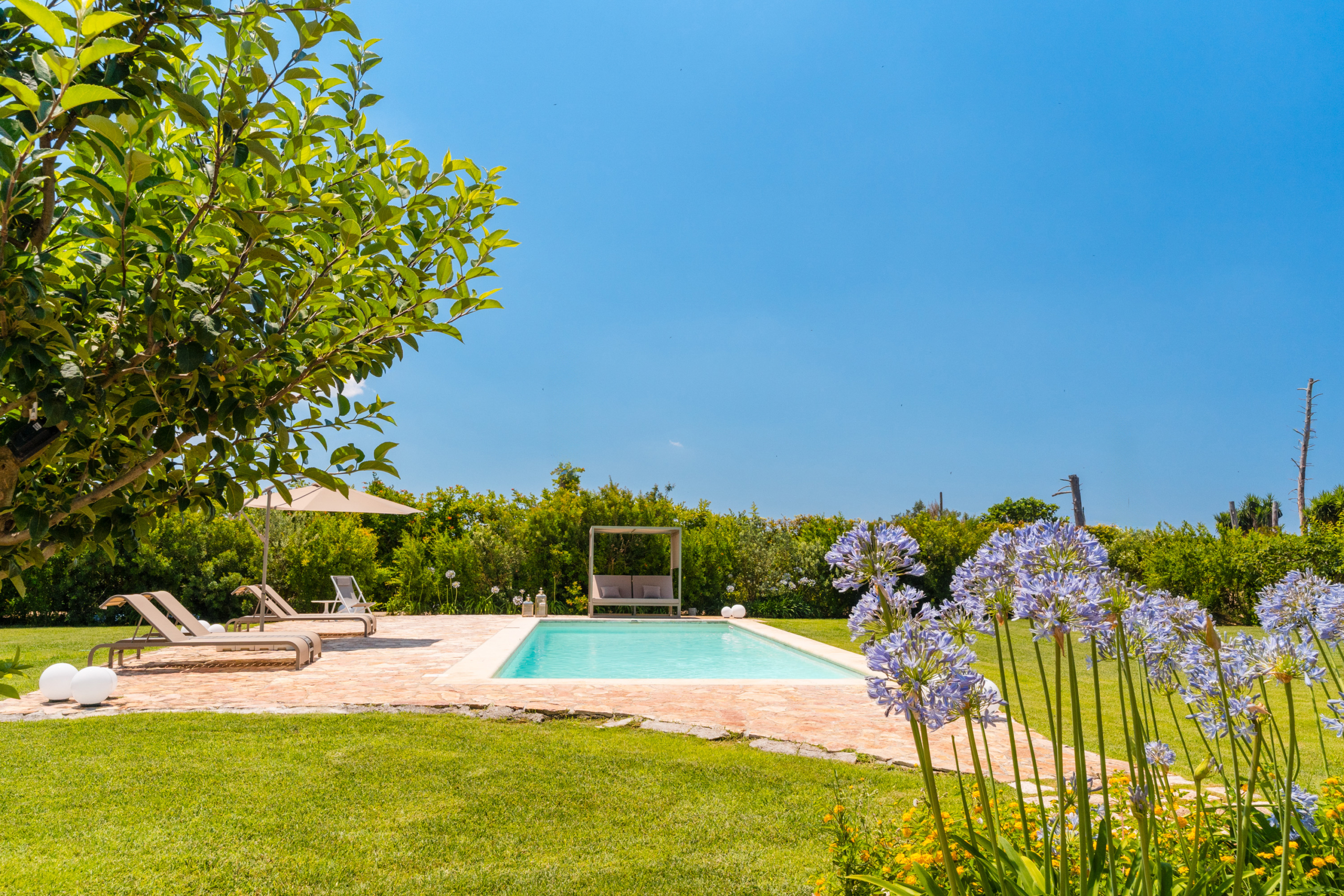piscina giardino con albero e fiori attico villa cucci