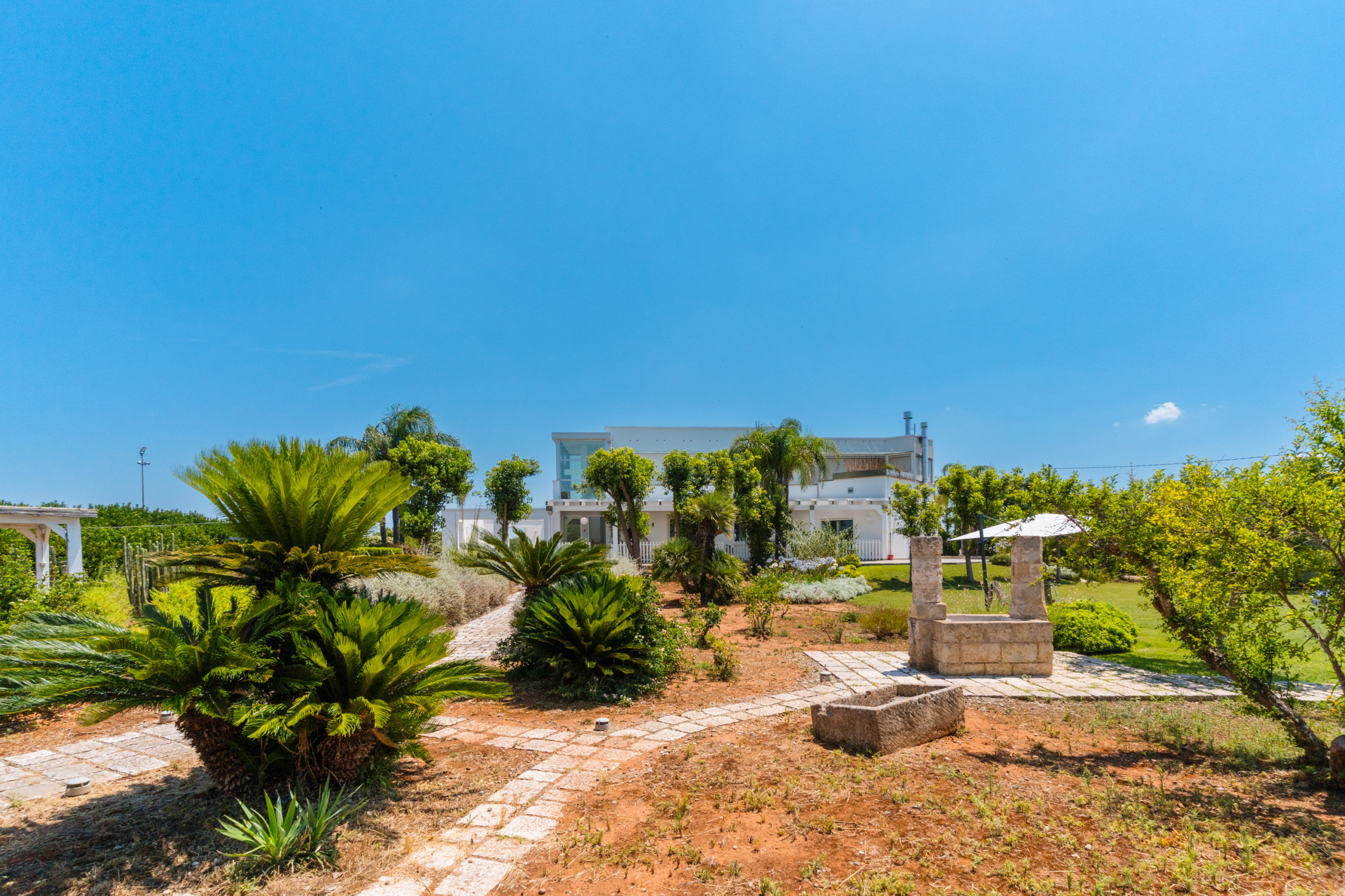 giardino con pozzo e piante vista su casa attico villa cucci