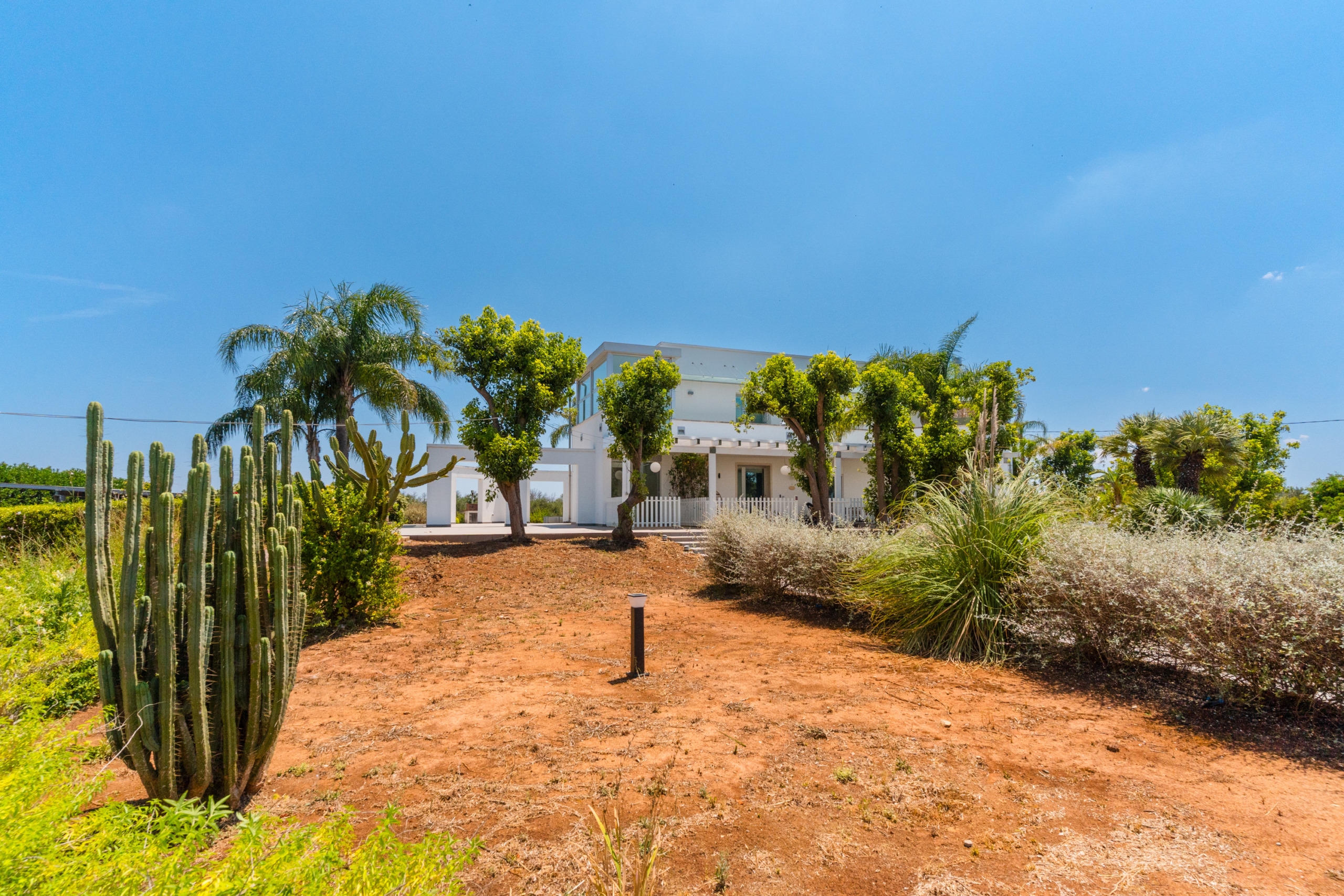 vista su piante alberi e casa attico villa cucci